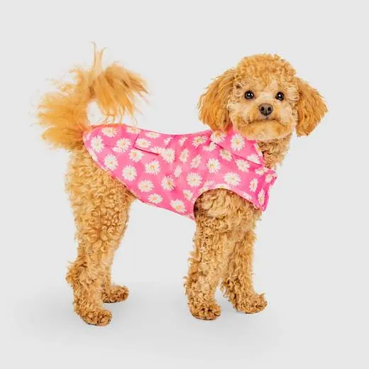Canada Pooch - Pick Me Poncho (Daisy)