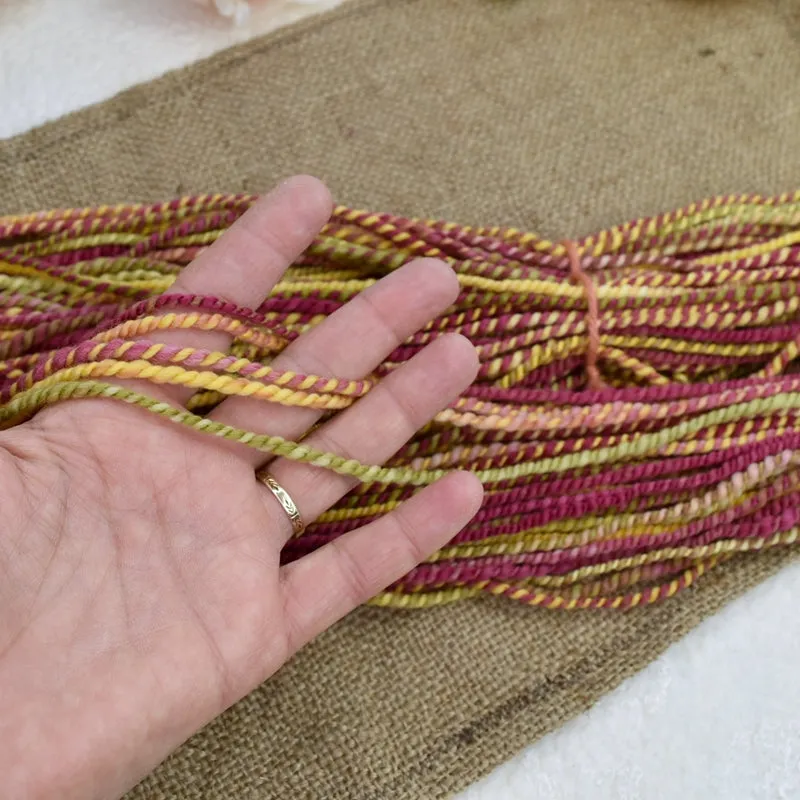 Hand Spun Tasmanian Merino Wool Chunky Yarn in Bright Autumn