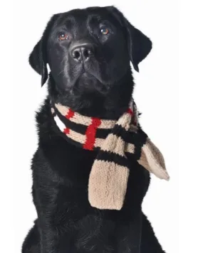 Notting Hill Pup Scarf