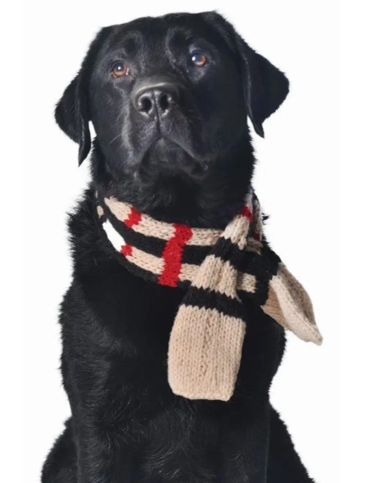Notting Hill Pup Scarf