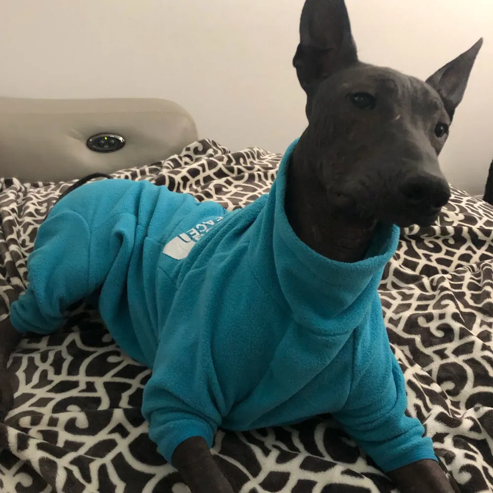 Puppy-Protection - Warm Dog Jacket
